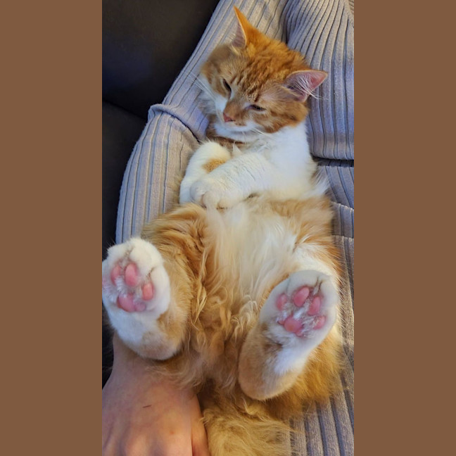 Photo of Leo