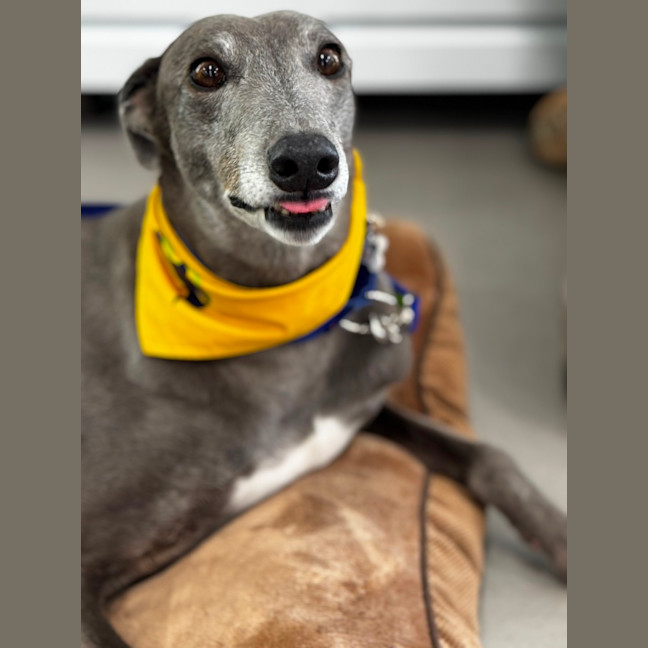 Photo of Winnie 