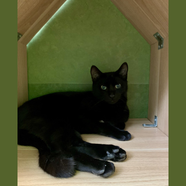 Photo of Luna