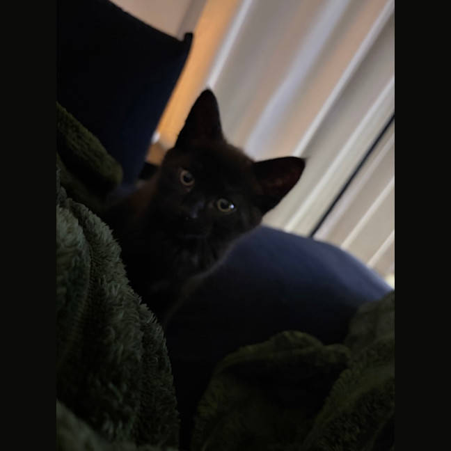 Photo of Billy
