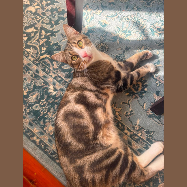 Photo of Taltu