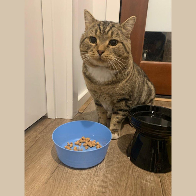 Photo of Bryant Russelton