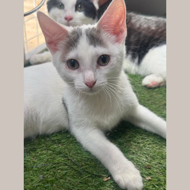 Photo of Verity & Solace