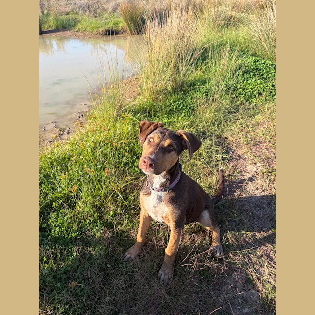 Photo of Winnie