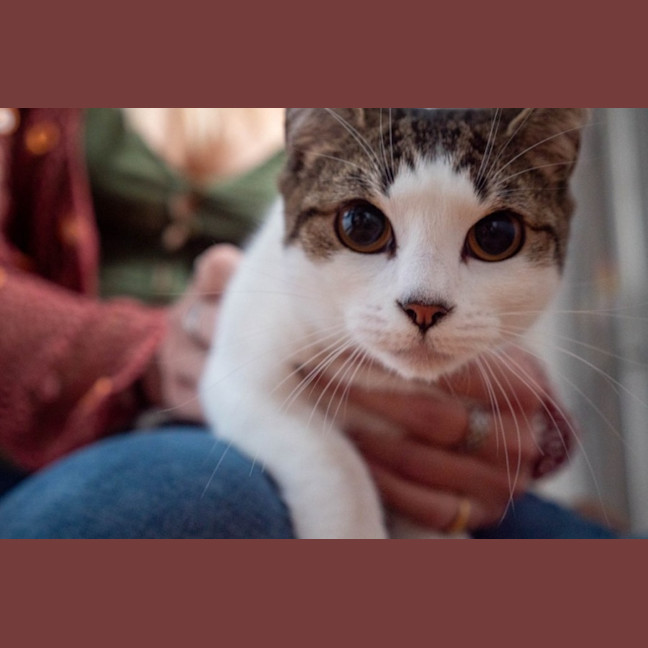 Photo of Penny & Essie 