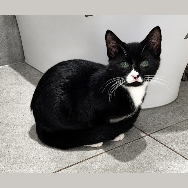 Photo of Mae