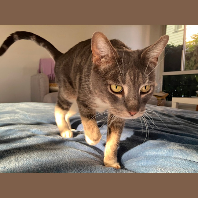 Photo of Vera