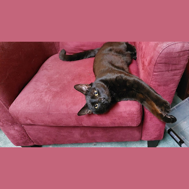 Photo of Salem