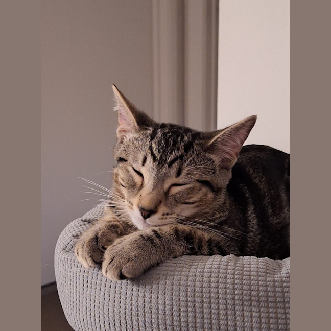 Photo of Lars