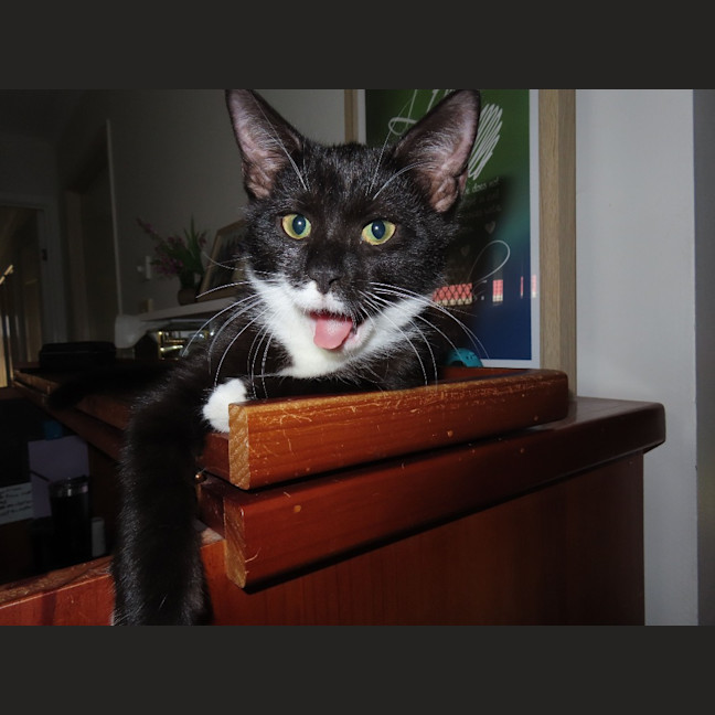 Photo of Mercury K33