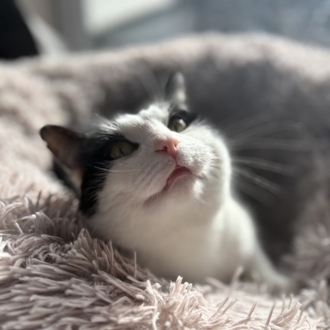 Photo of Bernie