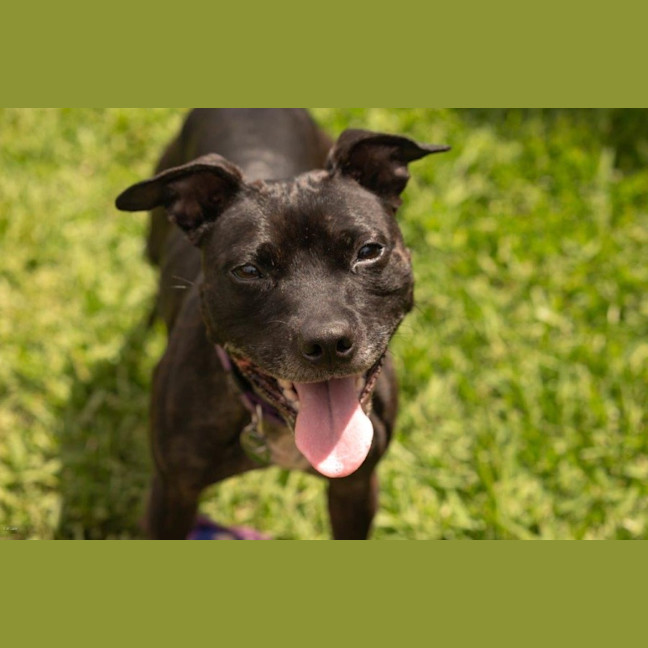 Photo of Beatrice Lozano