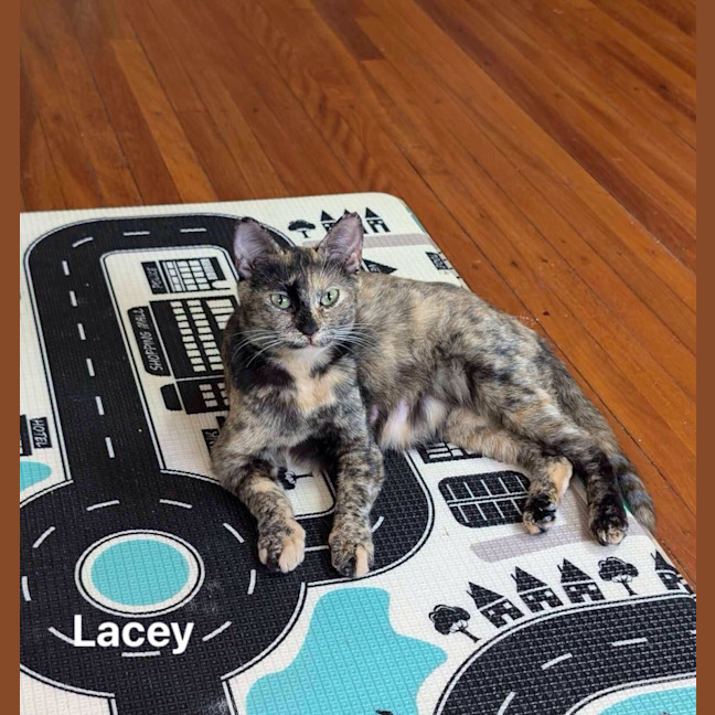Photo of Lacey
