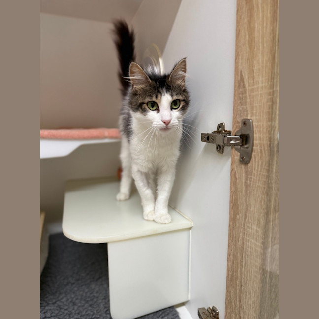 Photo of 🕶️ Ruth 6779 🕶️