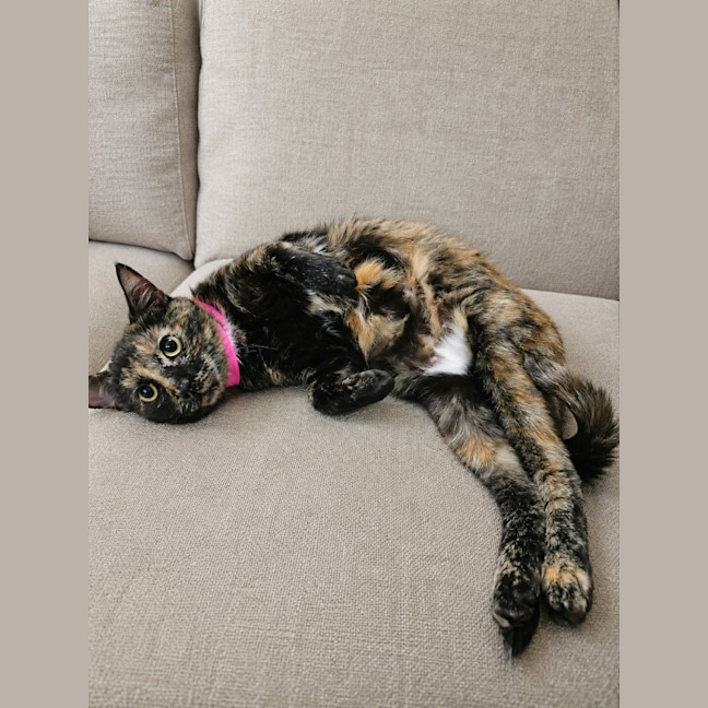 Photo of Sabrina
