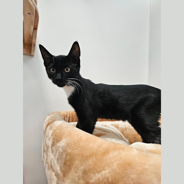 Photo of Jack