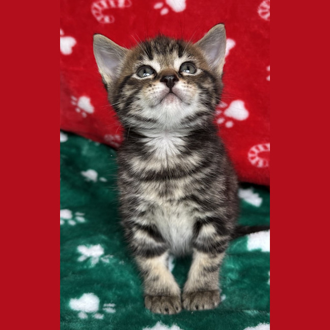 Photo of Milford 💙