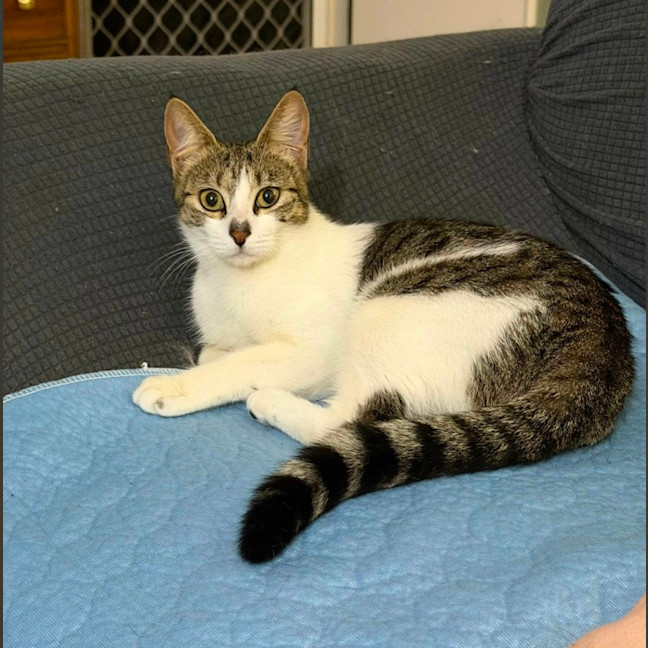 Photo of Abby