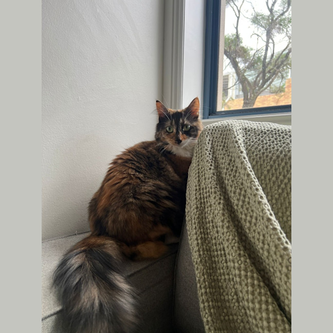 Photo of Bridget