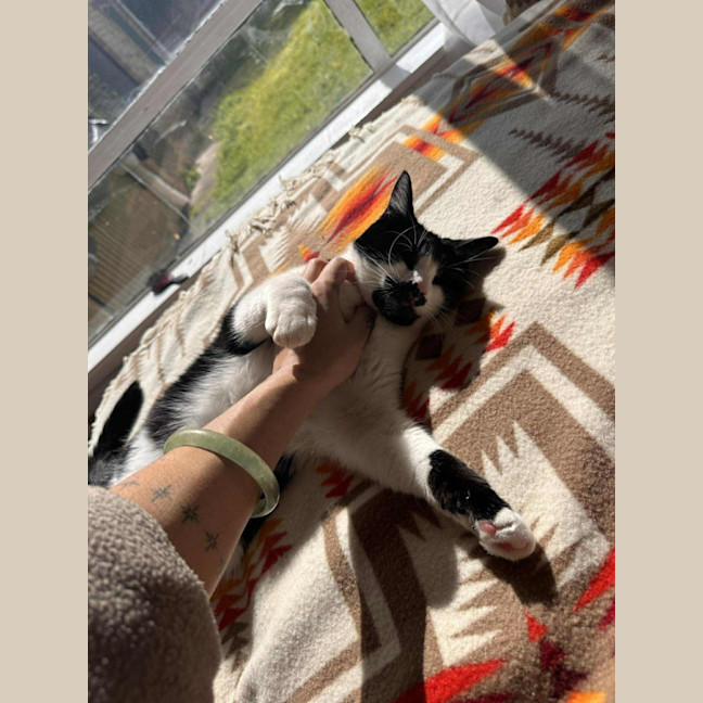 Photo of Douglas    In Foster Care In Thornbury