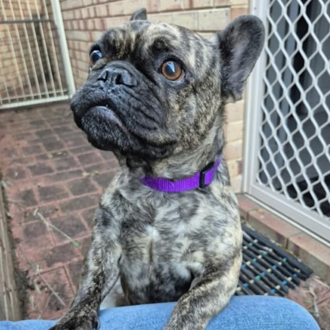 Photo of Marlee