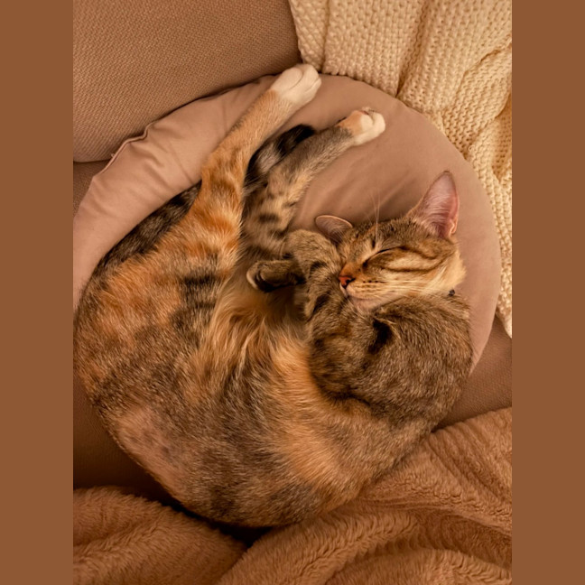 Photo of Bridgette 