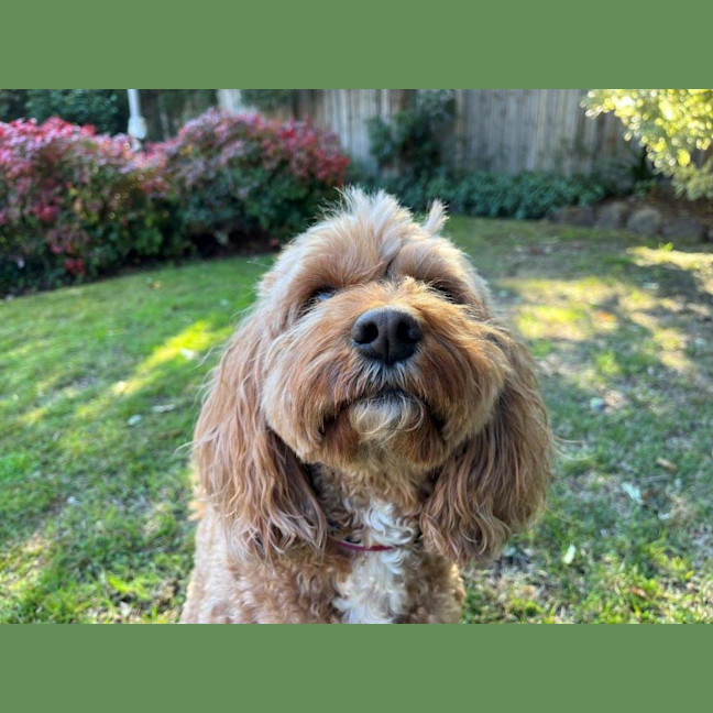 Photo of Winston Quinell