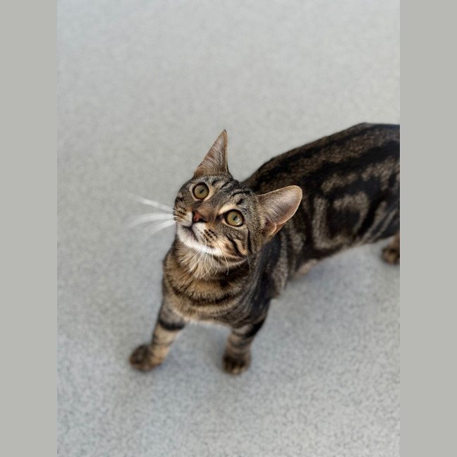 Photo of Hunter   Burnie