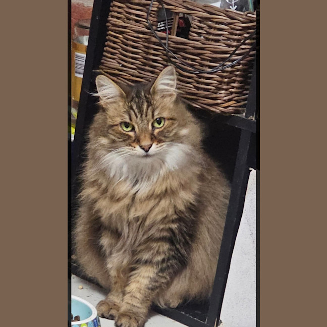 Photo of Bon Bon