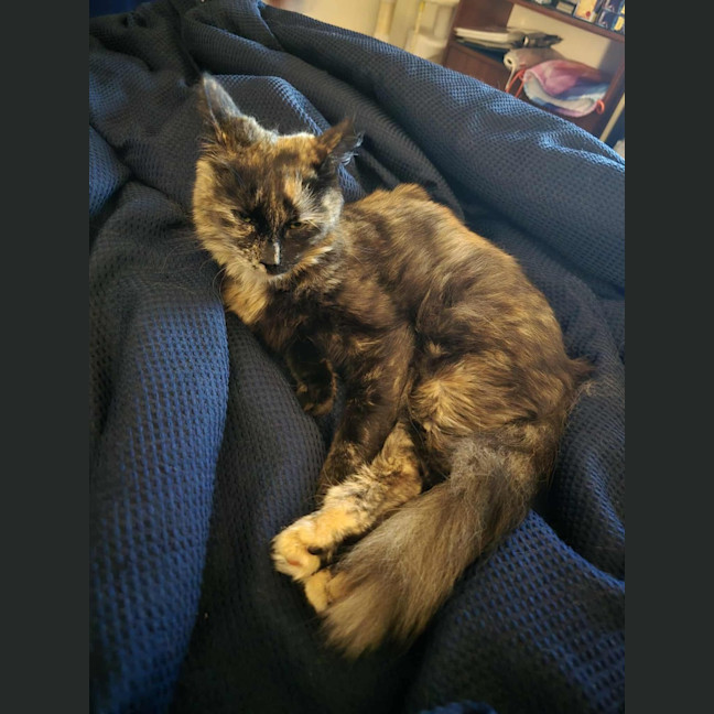 Photo of Freya