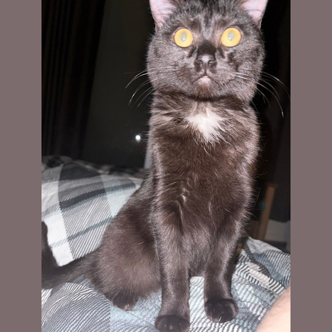 Photo of Morticia