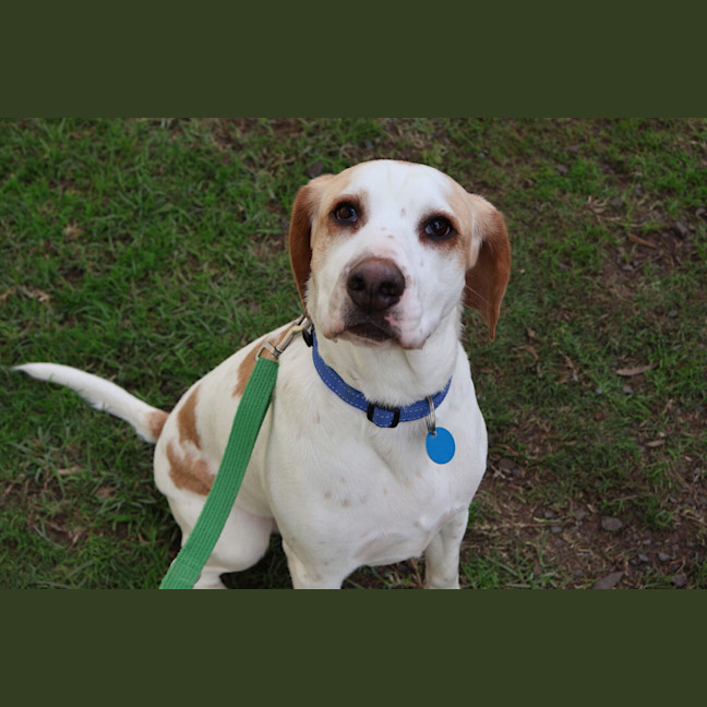 Photo of Oscar