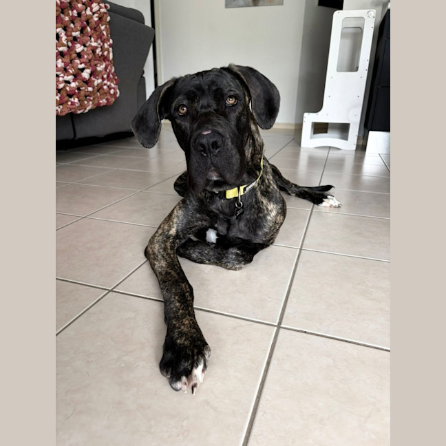 Photo of Freya