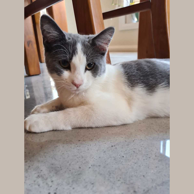 Photo of Earl Grey