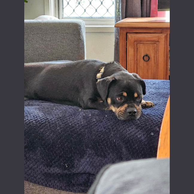 Photo of Emmy 