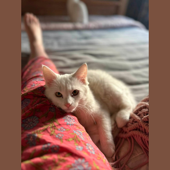 Photo of Rumi & Finn