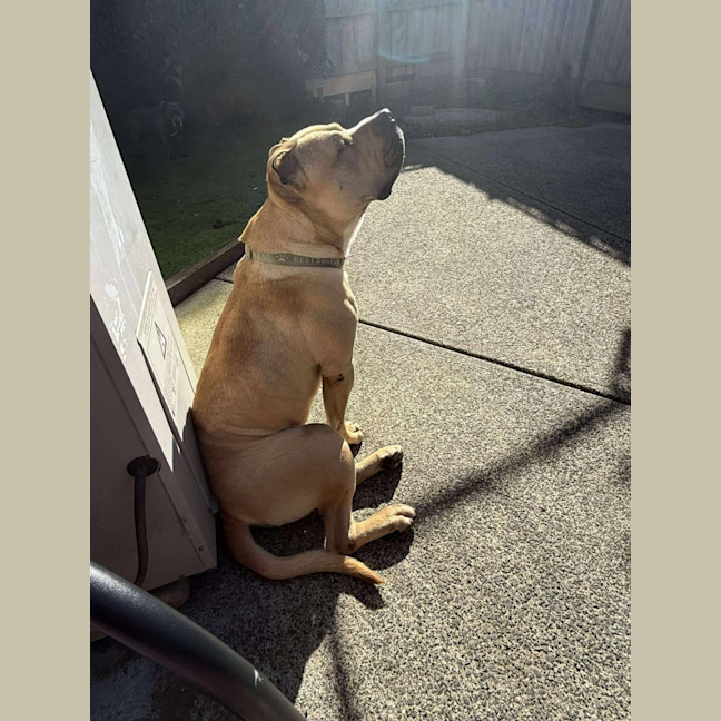 Photo of Butch