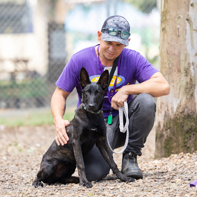 Photo of Prada (Fry)