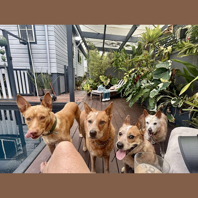 Photo of Sunny