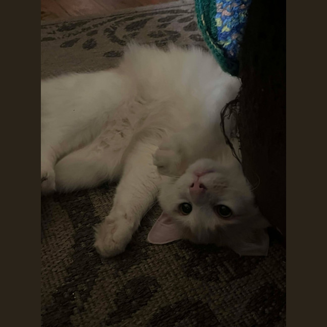 Photo of Dj