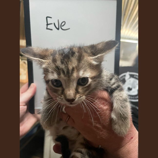 Photo of Eve