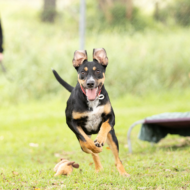 Photo of Delilah