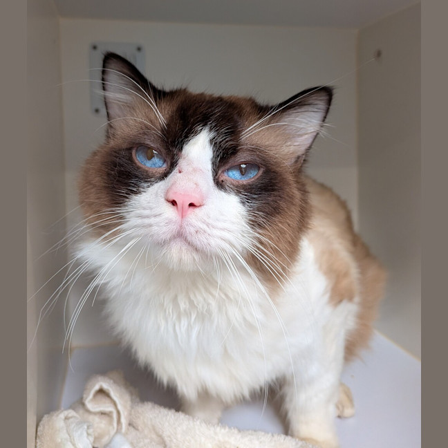 Photo of Gatsby