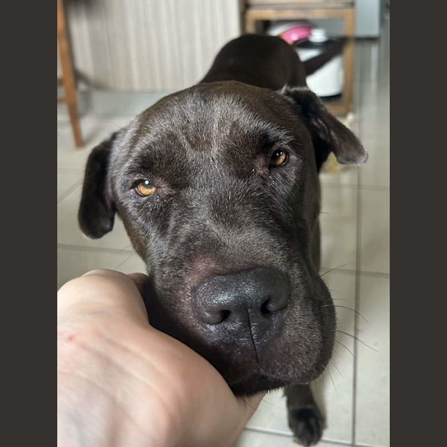 Photo of Sasha