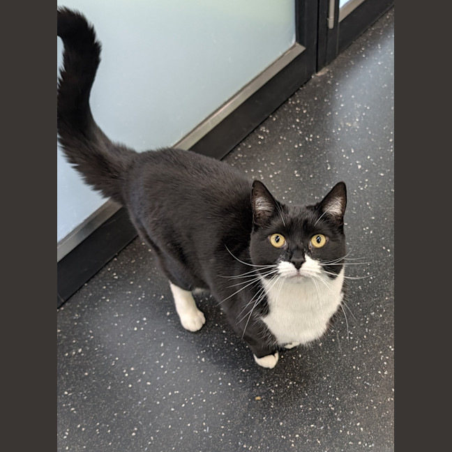 Photo of Wednesday