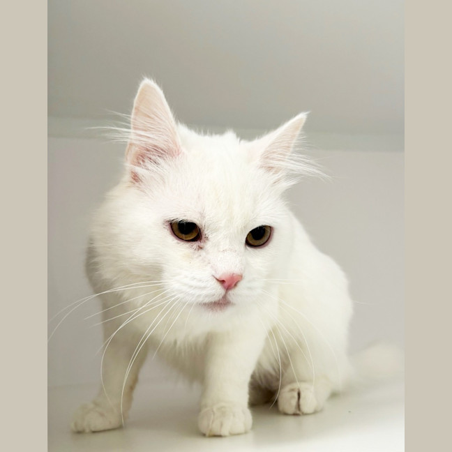 Photo of Magnus Rsta012523