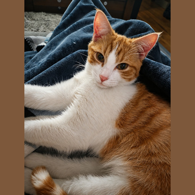 Photo of George