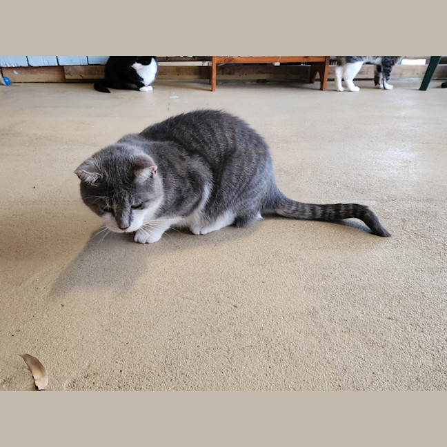 Photo of Gary & Chip   Your Best Friends 