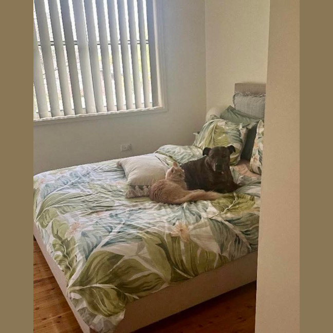 Photo of Lily