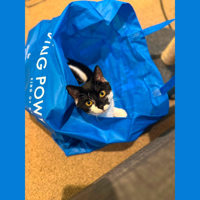 Photo of Nova